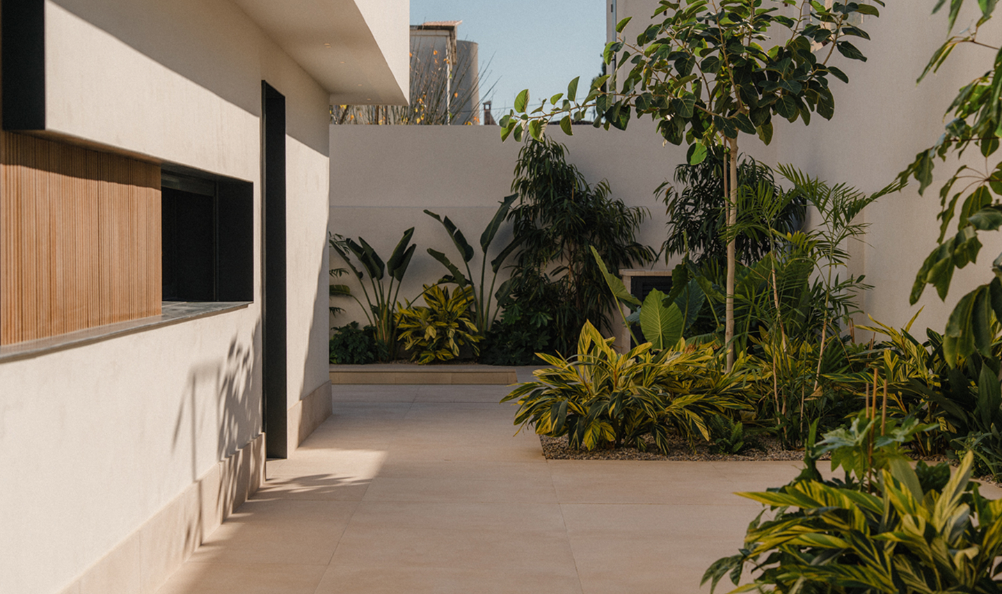 Imagen decorativa de sancás