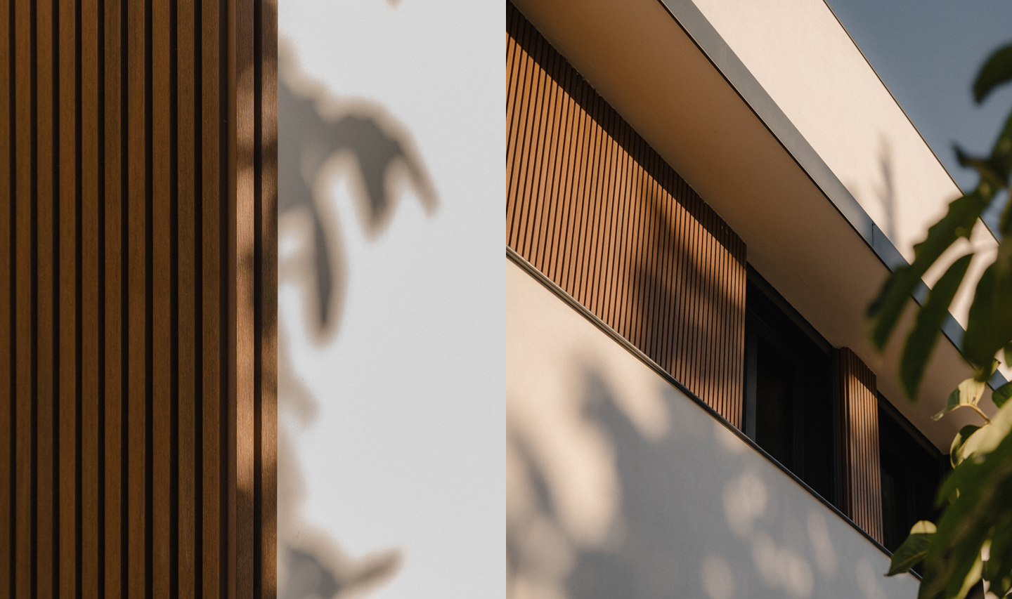 Imagen decorativa de sancás